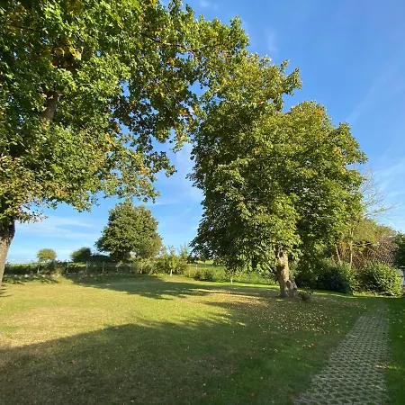 Riese Nordhessen Felsberg