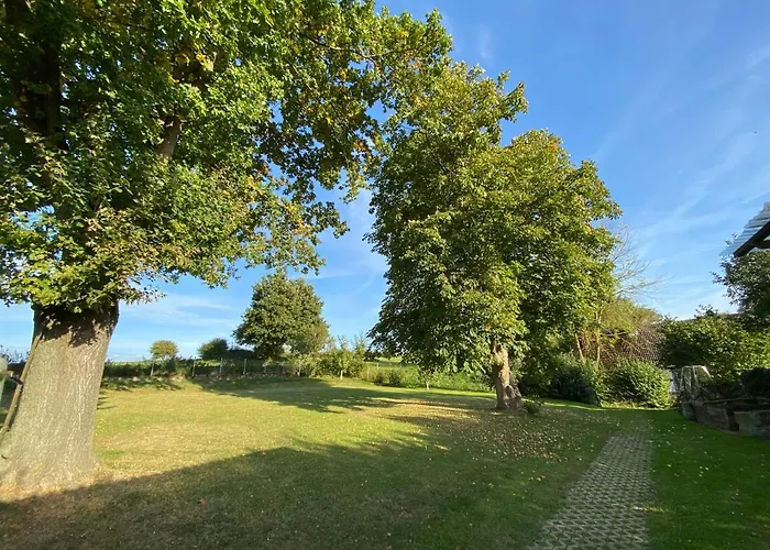 Riese Nordhessen Felsberg