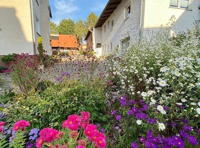 Riese Nordhessen Διαμέρισμα *